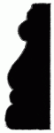 2-1/4" x 13/16" 2-1/4" x 13/16"